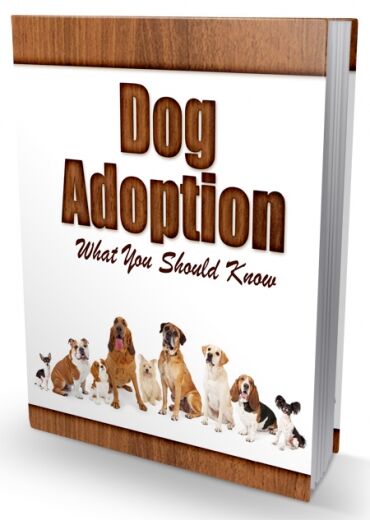 eCover representing Dog Adoption Newsletter eBooks & Reports with Private Label Rights