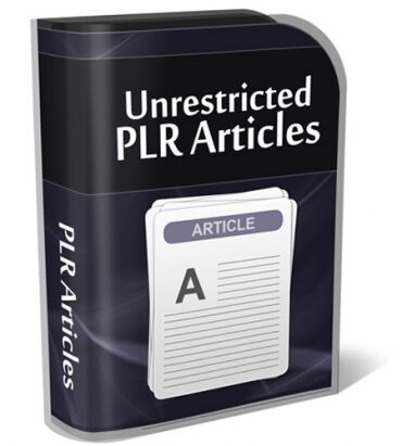 eCover representing 2016 Internet Marketing PLR Articles Bundle  with Private Label Rights