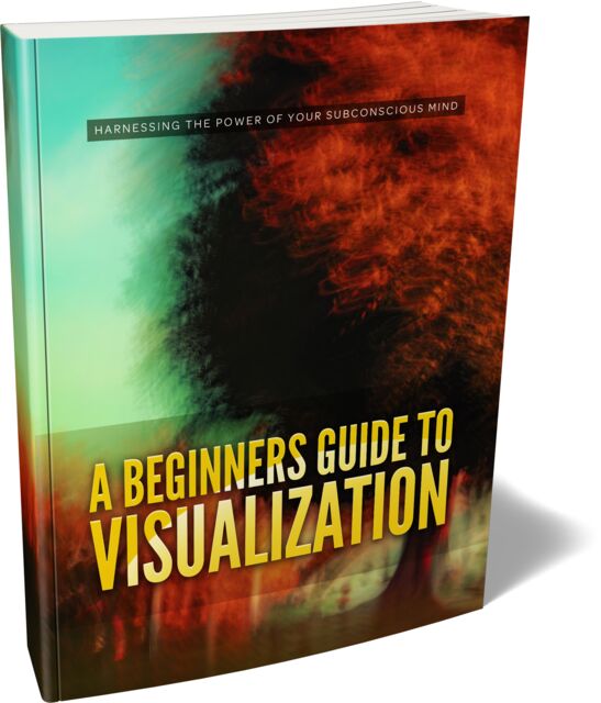 eCover representing A Beginners Guide To Visualization eBooks & Reports with Master Resell Rights