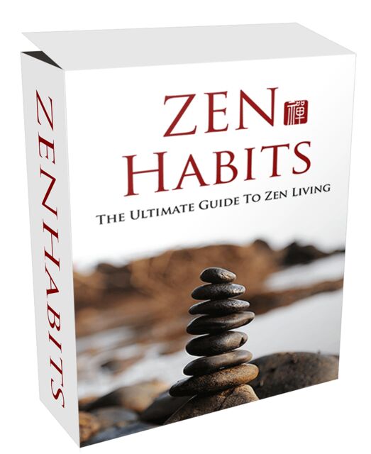 eCover representing Zen Mastery Video Upgrade Videos, Tutorials & Courses with Master Resell Rights