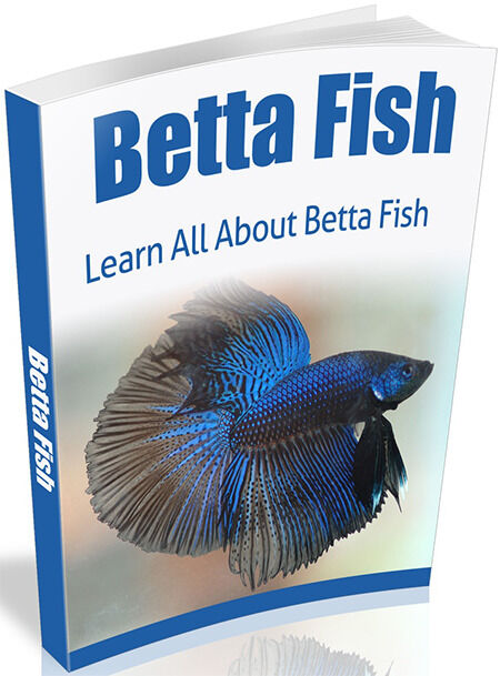 eCover representing Betta Fish eBooks & Reports with Master Resell Rights